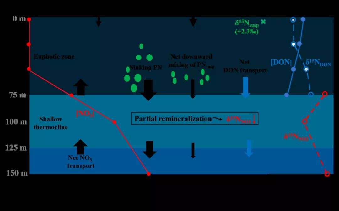 厦门大学张润副教授团队：从同位素视角探究南海溶解有机氮循环
