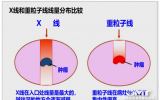 重离子治疗是什么？适合哪些疾病？