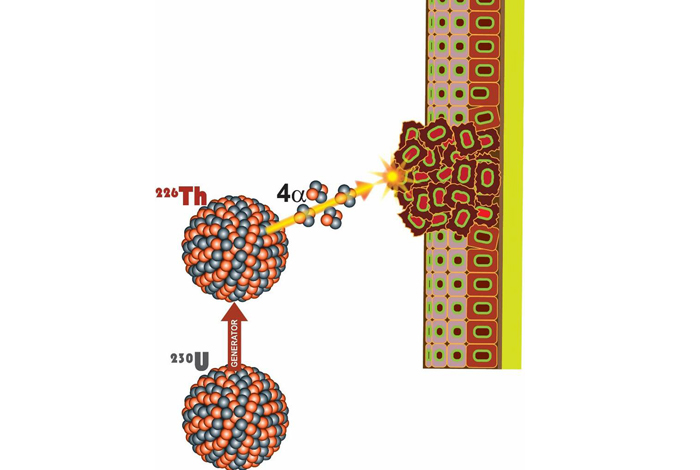 Los Alamos新型发生器系统直接向癌细胞提供大剂量辐射
