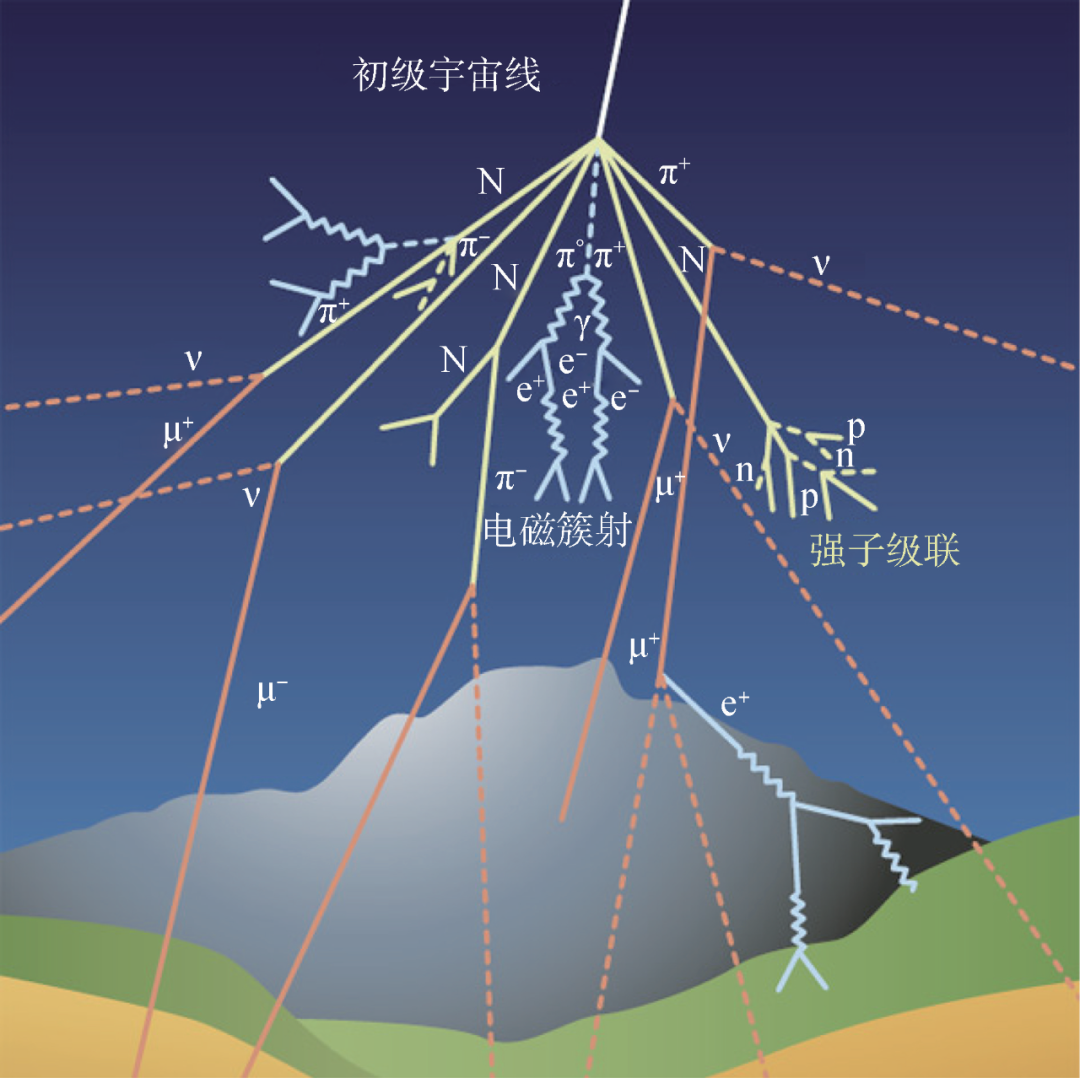 知道了缪子，你知道缪子成像吗?