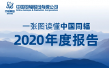 一张图读懂<font color=red>中国同辐</font>2020年度报告