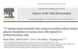 基于碳13同位素的代谢通量分析揭示全氟辛酸对人肝细胞葡萄糖代谢的影响