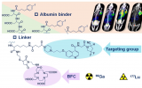 厦门大学分子影像中心团队：放射核素标记的FAP靶向探针研发 
